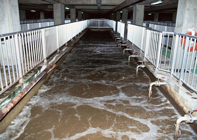 Behandlung von Phenolabwasser